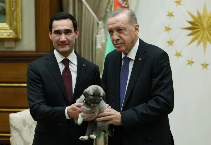 Sivas'ın Minik Kangalı Türkmenistan Yolcusu 