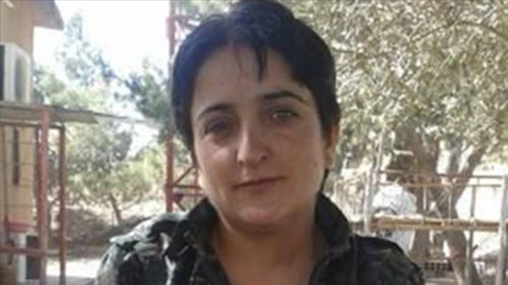 PKK'nın Sözde Sorumlusuna Darbe