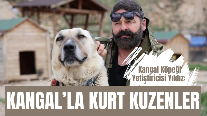 Kangal'la Kurt Kuzenler