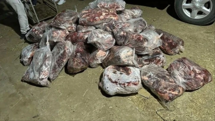 1 Ton Domuz Etini Vatandaşlara Yedireceklerdi! Yakalandılar 