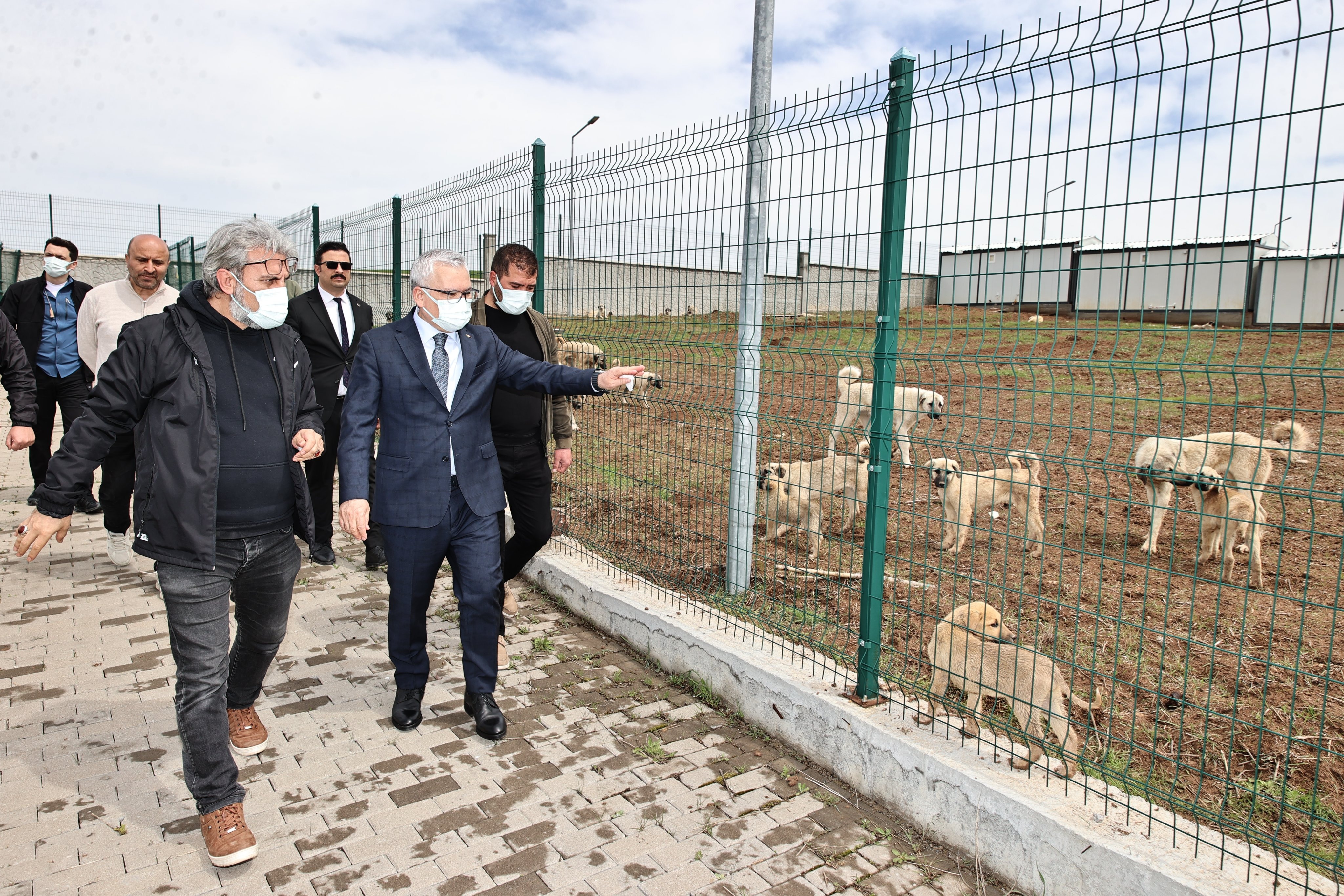 Vali Şimşek ziyaret etti! Sivas'ta 600 sahipsiz hayvan buraya getirilecek! 