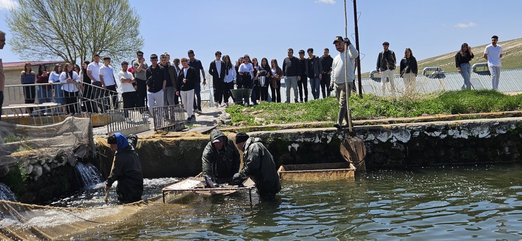 Alabalık üretimini yerinde gözlemlediler