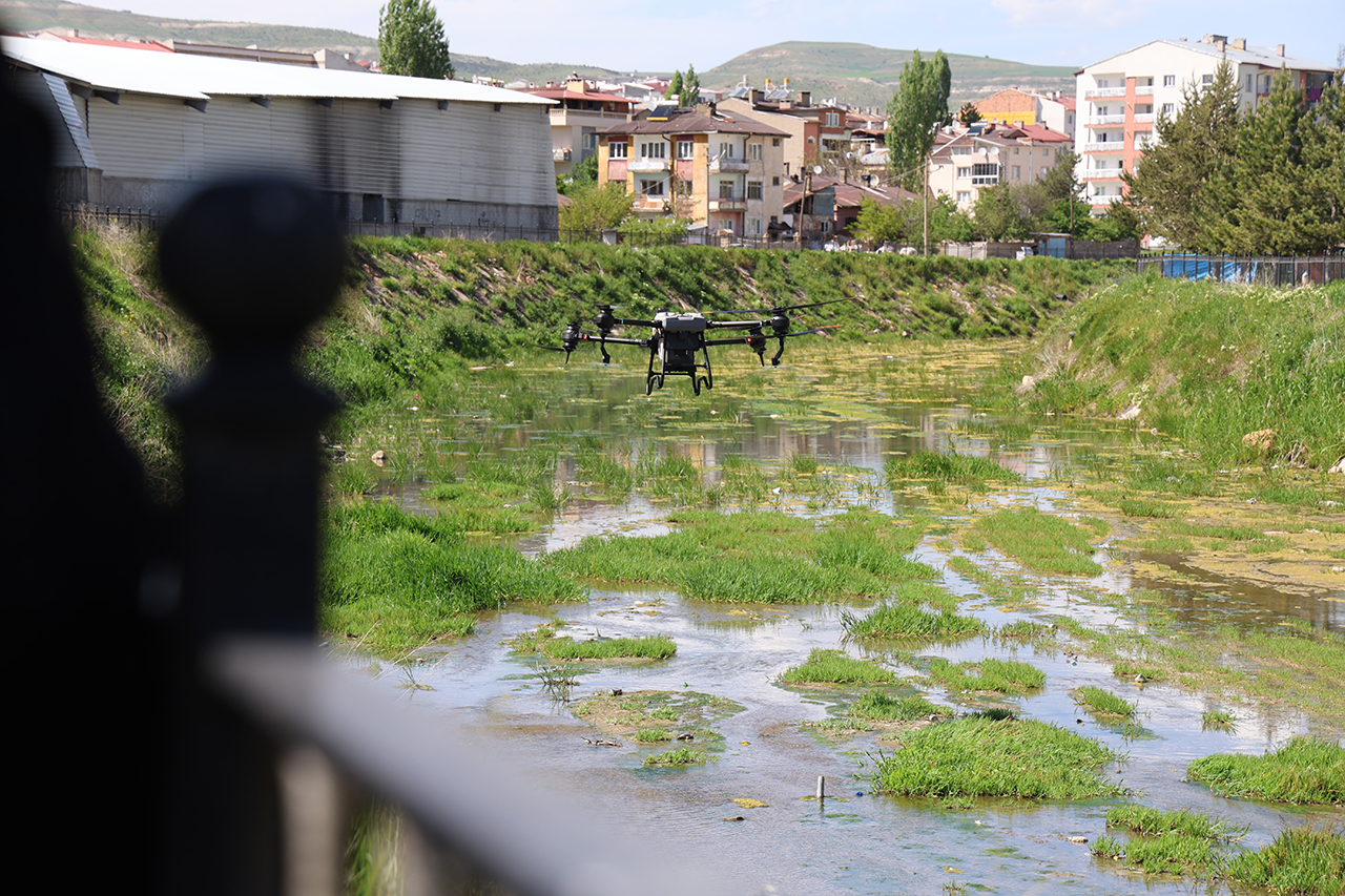 Sivas'ta keneye karşı dronlu ilaçlama!