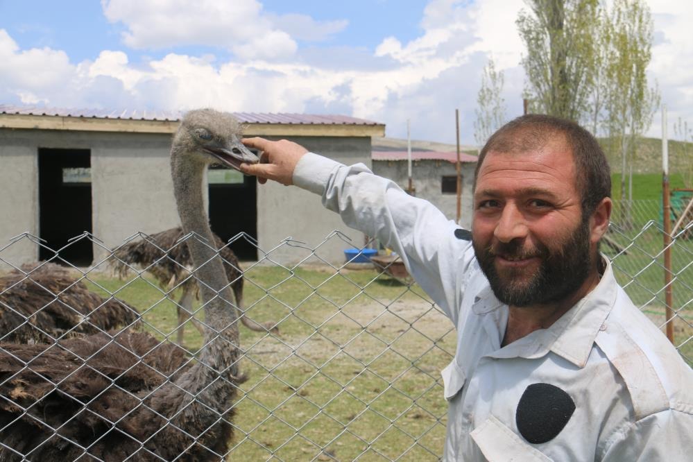 Sivas'ın bozkırında bu işi yapan tek kişi! 