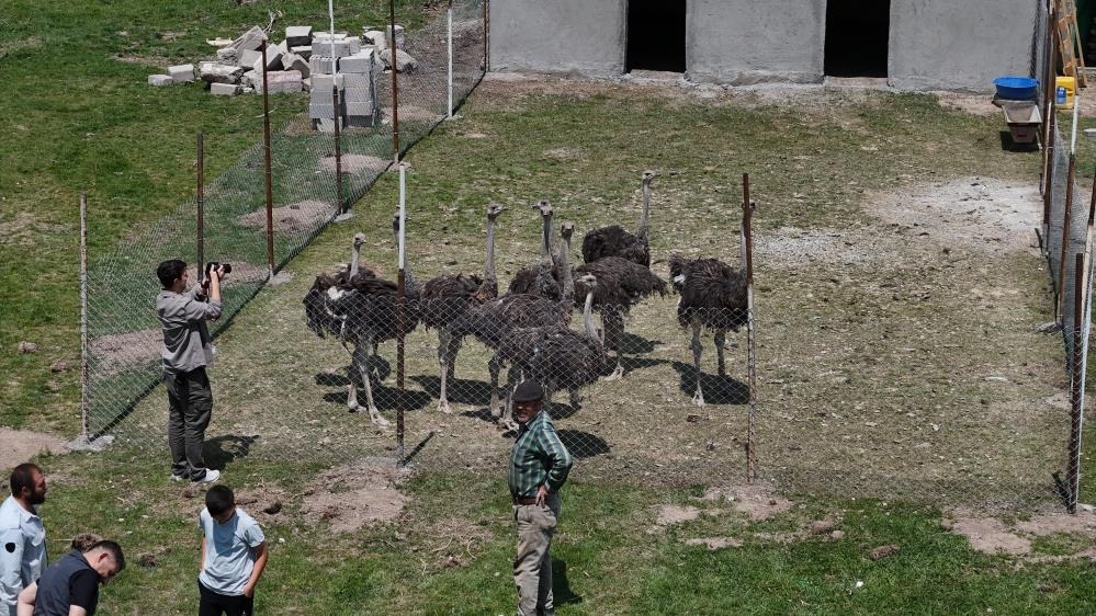 Sivas'ın bozkırında bu işi yapan tek kişi! 