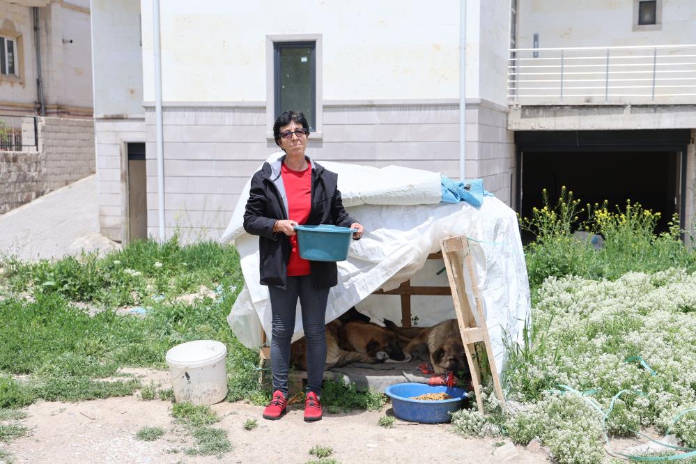 30 yıldır sokak hayvanlarını besliyor