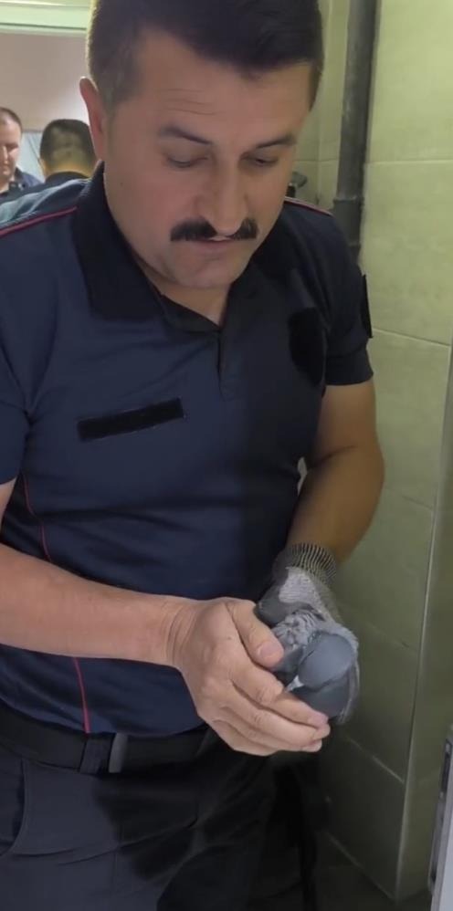 Sivas'ta havalandırma boşluğuna sıkışan kuşu itfaiye kurtardı 