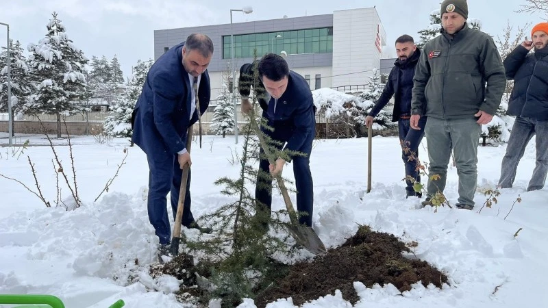 Sivas'ta miniklere ormanların önemi anlatıldı