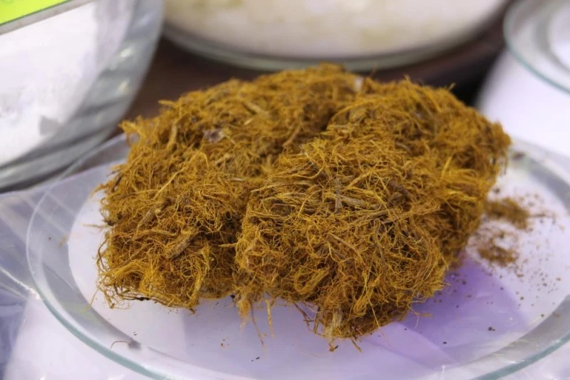 Uzmanı uyardı: Meyan kökünün fazlası sağlığa zarar
