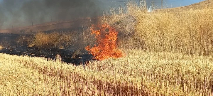 Sivas'ta Üst Üste Yangın- 6 Dönüm Arazi Zarar Gördü 