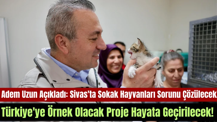 Adem Uzun Açıkladı: Sivas'ta Sokak Hayvanları Sorunu Çözülecek! Türkiye'ye Örnek Olacak Proje Hayata Geçirilecek! 