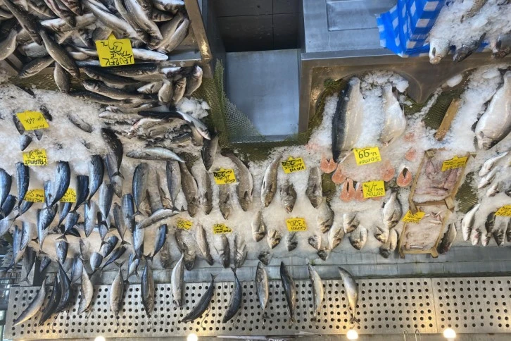 Balık Fiyatları Düştü