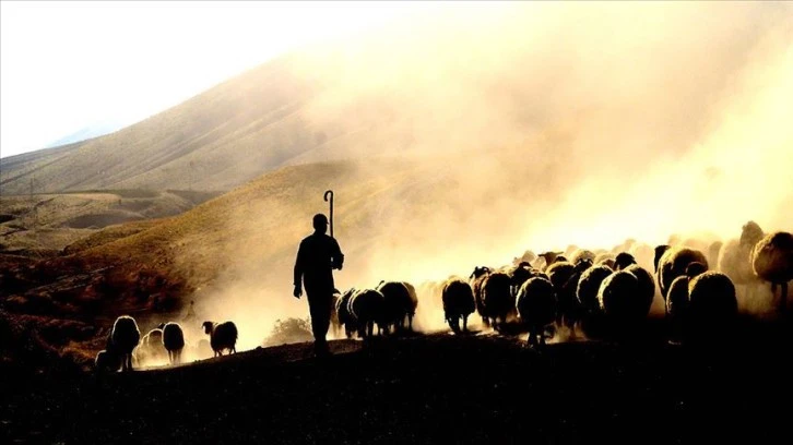 Çoban İstihdamına 400 Milyon Destek