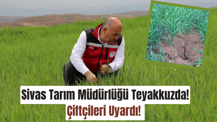 Sivas Tarım Müdürlüğü Teyakkuzda! Çiftçileri Uyardı! 