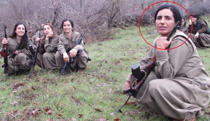PKK'nın Sözde Toplumsal Alan Sorumlusu Etkisiz Hale Getirildi 
