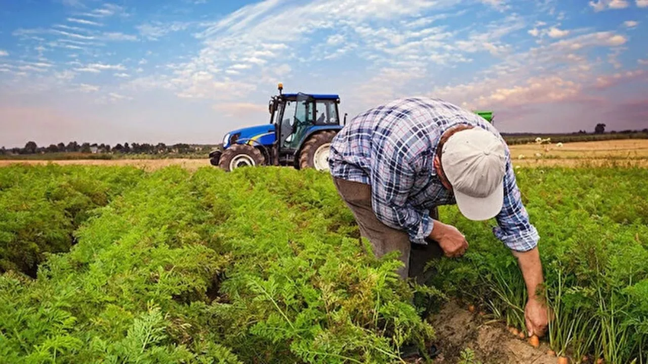 "Mazot Vergisi, Tarıma Verilen Toplam Destek Miktarının Yüzde 70’ine Denk Geliyor”