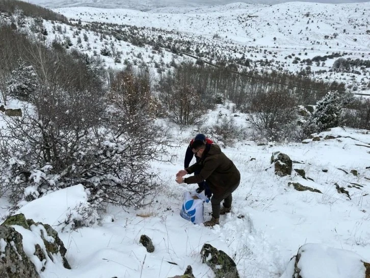 Sivas Jandarması Soğuk Havalarda Hayvanları Unutmadı 