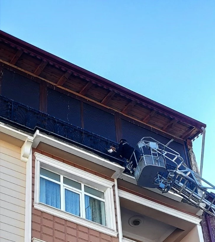 Sivas'ta Balkon Demirine Sıkışan Güvercini İtfaiye Kurtardı