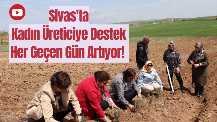 Sivas'ta Kadın Üreticiye Destek Her Geçen Gün Artıyor! 
