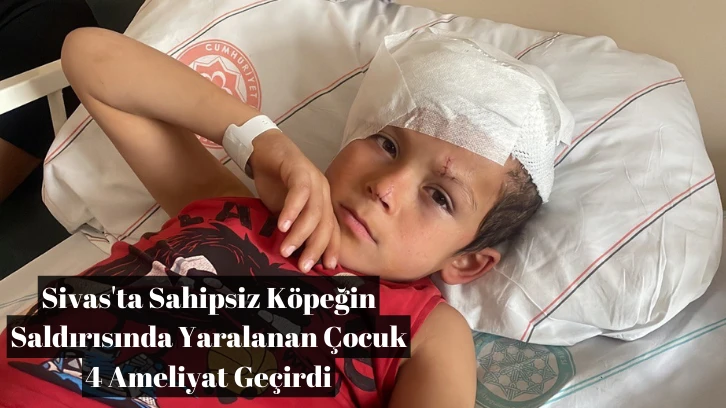 Sivas'ta Sahipsiz Köpeğin Saldırısında Yaralanan Çocuk 4 Ameliyat Geçirdi