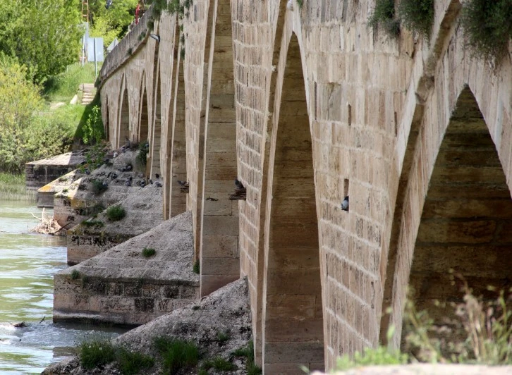 Tarihi Köprü Kuşlara Yuva Oldu
