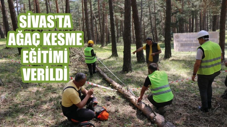 Sivas'ta Ağaç Kesme Eğitimi Verildi 