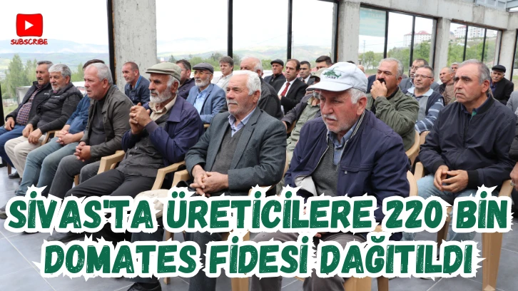 Sivas'ta Üreticilere 220 Bin Domates Fidesi Dağıtıldı 