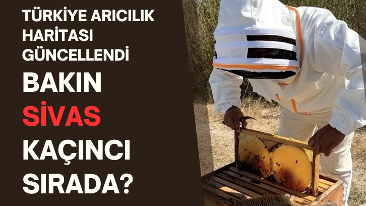Türkiye Arıcılık Haritası Güncellendi, Bakın Sivas Kaçıncı Sırada?