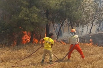 Adana’da Orman Yangını Çıktı