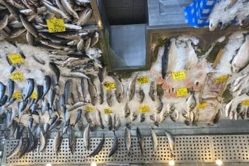 Balık Fiyatları Düştü