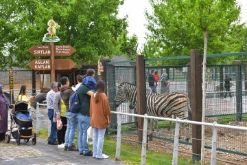 Büyükşehir Hayvanat Bahçesi Kurban Bayramı'nda Ücretsiz