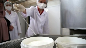 Çiğ Süt Üretiminde Hijyen Süresi Uzatıldı 