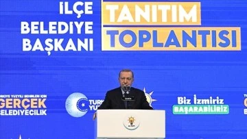 Cumhurbaşkanı Erdoğan  Uluslararası Adalet Divanında Konuştu 
