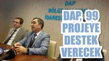 DAP, 99 Projeye Destek Verecek