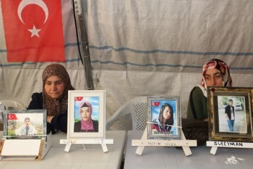Evlatlarını PKK ve HDP'den İsteyen Ailelerin Nöbeti Devam Ediyor