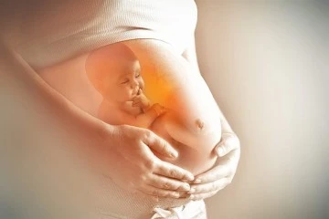 Hamileler Dikkat, Enfeksiyon Riski Taşıyor  