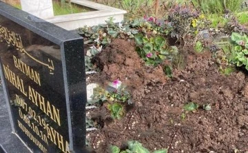 Hırsızlar, Dilan Polat'ın Annesinin Mezarını Kazdı