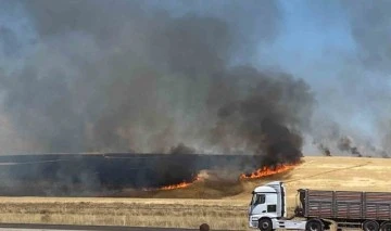 Kangal'da Buğday Tarlasında Yangın 