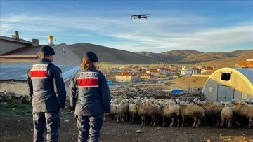  Kaybolan 150 Küçükbaş Hayvan Dron Yardımıyla Bulundu
