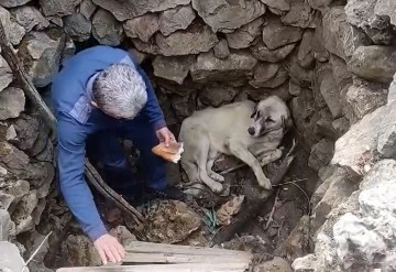 Kuyuya Düşen Köpeği Vatandaş Kurtardı 