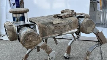 Mehmetçiğin Dağlardaki Siberi: Robot Keçi 