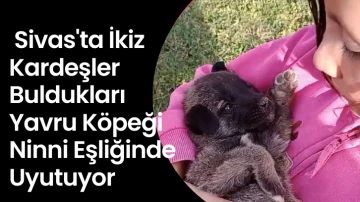 Bu Görüntüler İçinizi Isıtacak, Sivas'ta İkiz Kardeşler Buldukları Yavru Köpeği Ninni Eşliğinde Uyutuyor