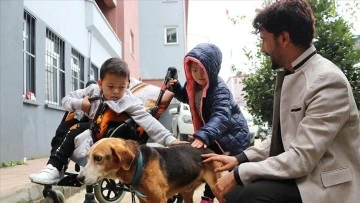 Özel Eğitimli Miniklerden  Kalpleri Isıtacak Hareket, Gözleri Görmeyen Köpeğe Sahip  Çıktılar 