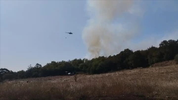 Ormanlık Alanda Yangın 