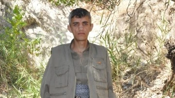 PKK/KCK'lı Terörist Mehmet Akın Etkisiz Hale Getirildi
