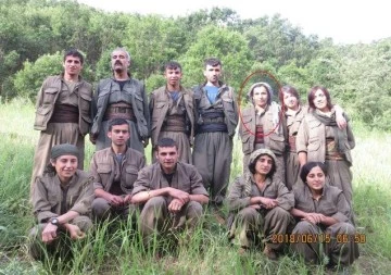PKK'nın Sözde Alan Sorumlusu Etkisiz Hale Getirildi 