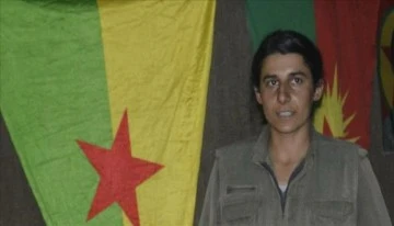 PKK'nın Sözde Gençlik Sorumlusu Etkisiz Hale Getirildi 