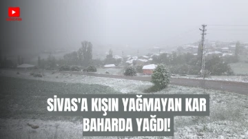 Sivas'a Kışın Yağmayan Kar Baharda Yağdı! 