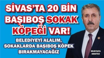 Mustafa Destici; Sivas, Sokak Köpeklerinden Geçilmiyor! 