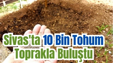 Sivas'ta 10 Bin Tohum Toprakla Buluştu